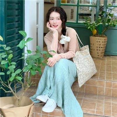 完美的主人