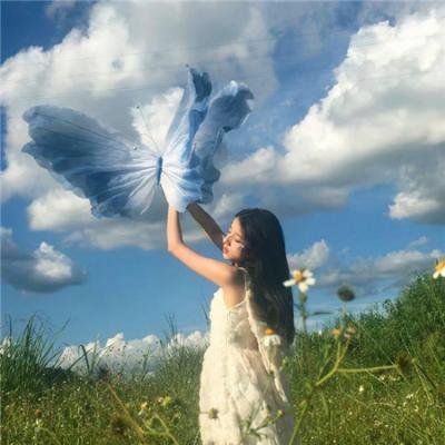 爱与森林